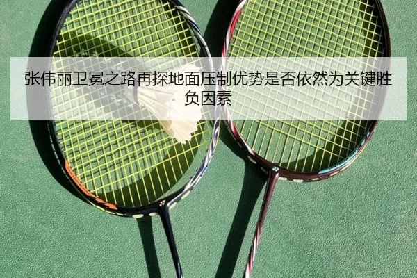 张伟丽卫冕之路再探地面压制优势是否依然为关键胜负因素